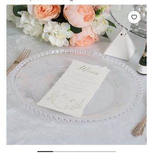 Plate chargers (31 count)